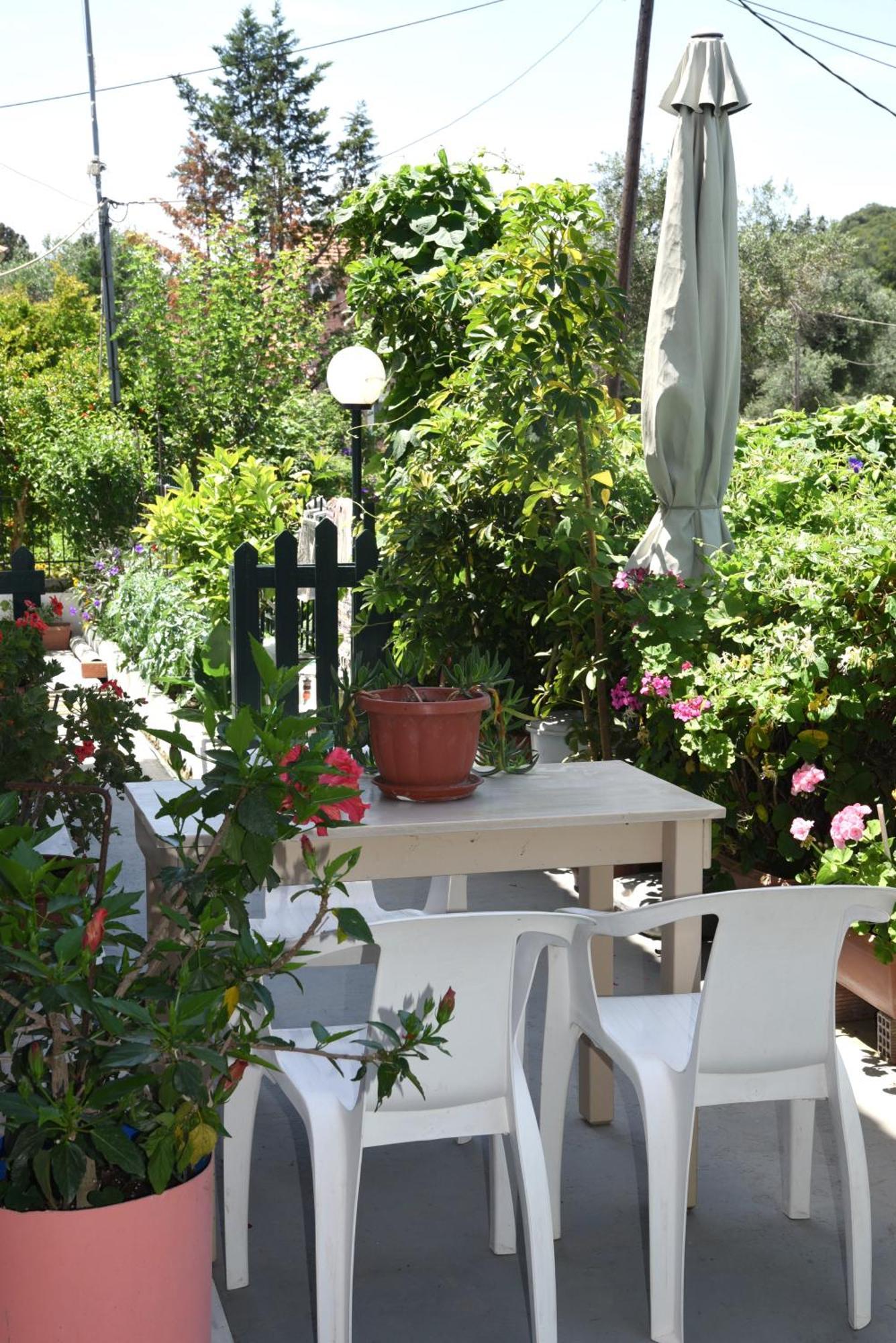 Villa Nefeli Mare Kávos Esterno foto